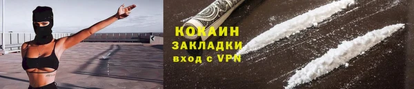 твердый Новозыбков