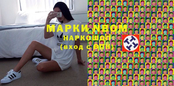 твердый Новозыбков