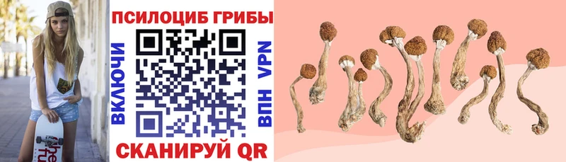 Галлюциногенные грибы ЛСД  как найти закладки  Клин 
