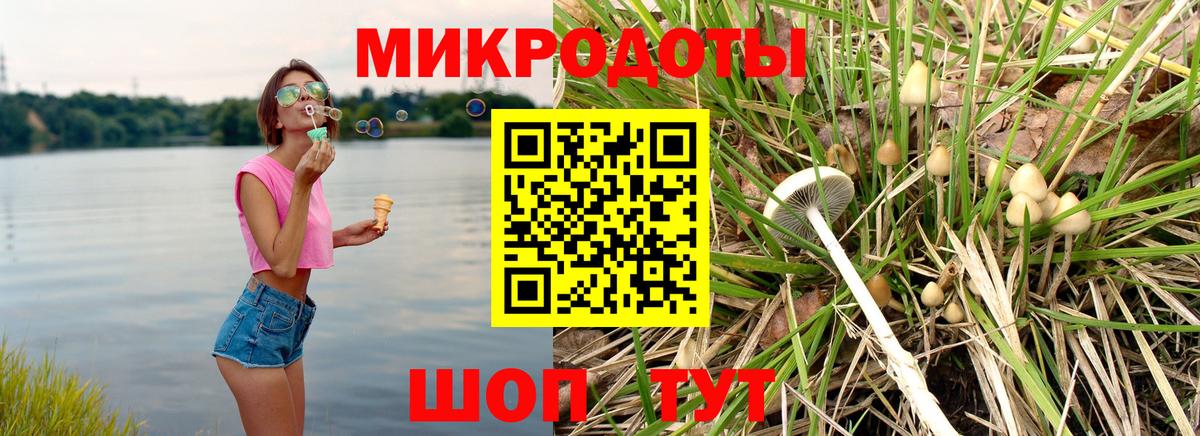 Псилоцибиновые грибы Magic Shrooms  купить наркоту  Клин  Вход с VPN 