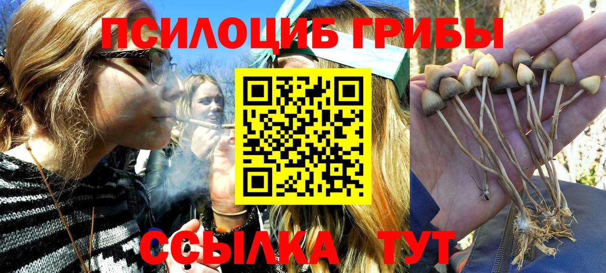 Галлюциногенные грибы GOLDEN TEACHER Клин